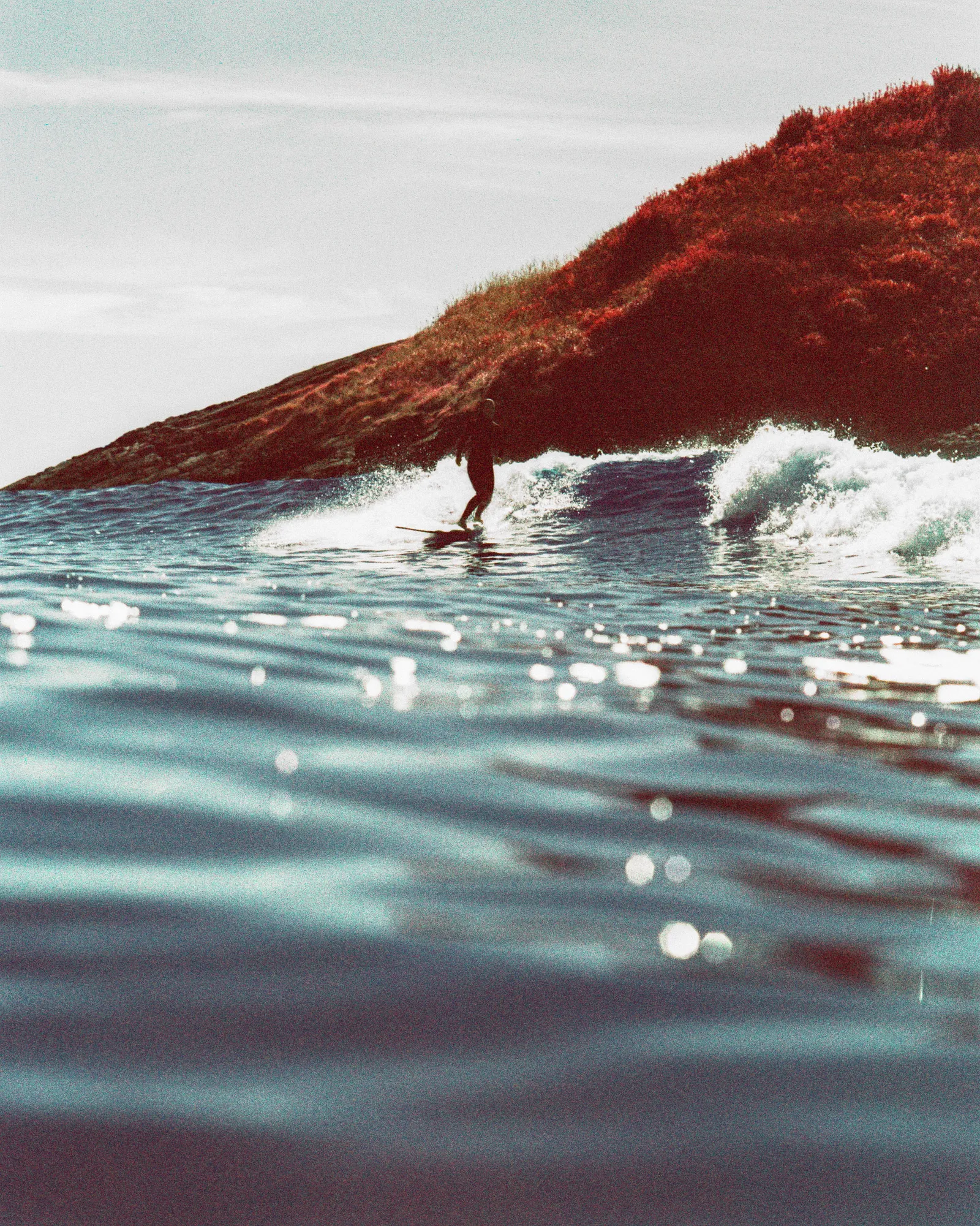 Film photograph, Tofino, BC