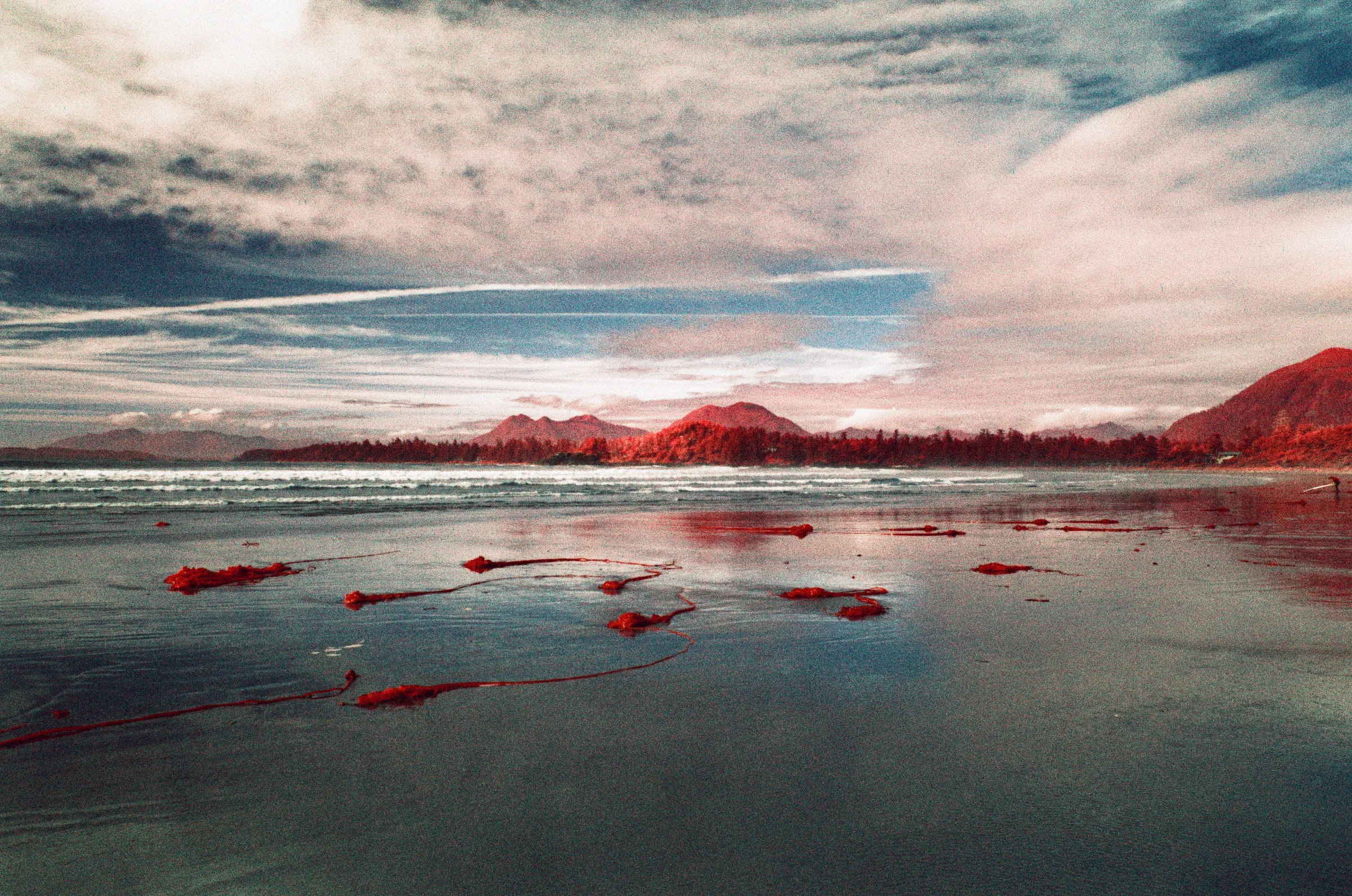 Film photograph, Tofino, BC