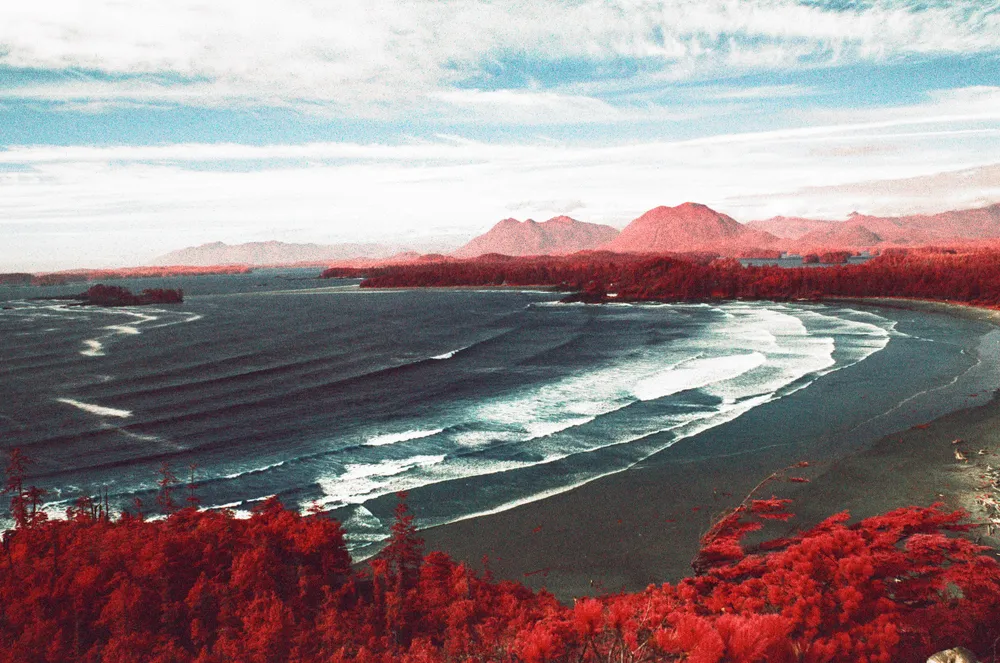 Film photograph, Tofino, BC