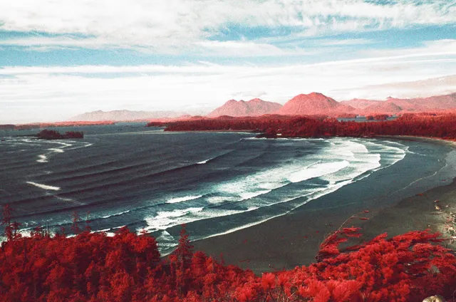 Film photograph, Tofino, BC