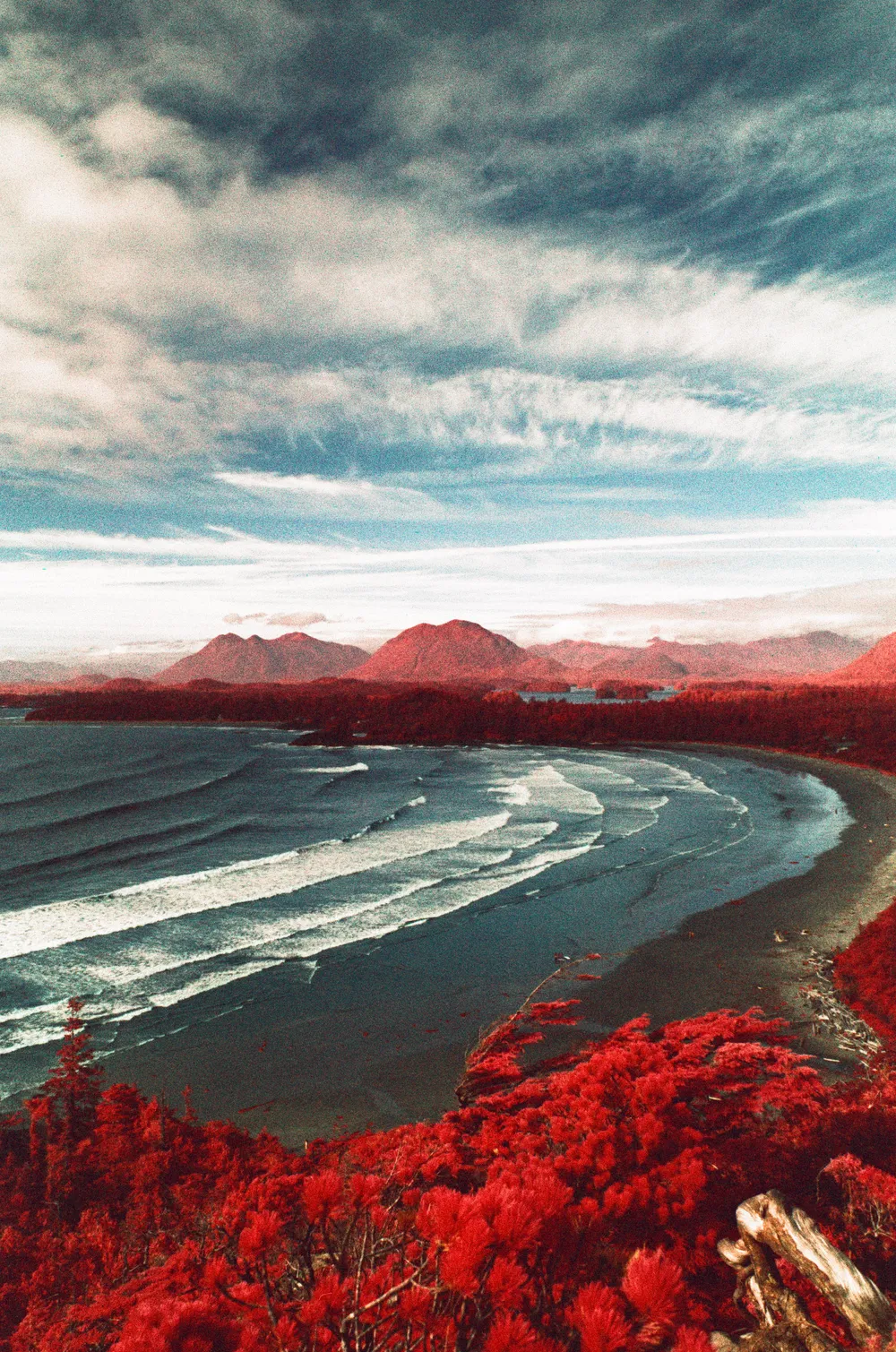 Film photograph, Tofino, BC