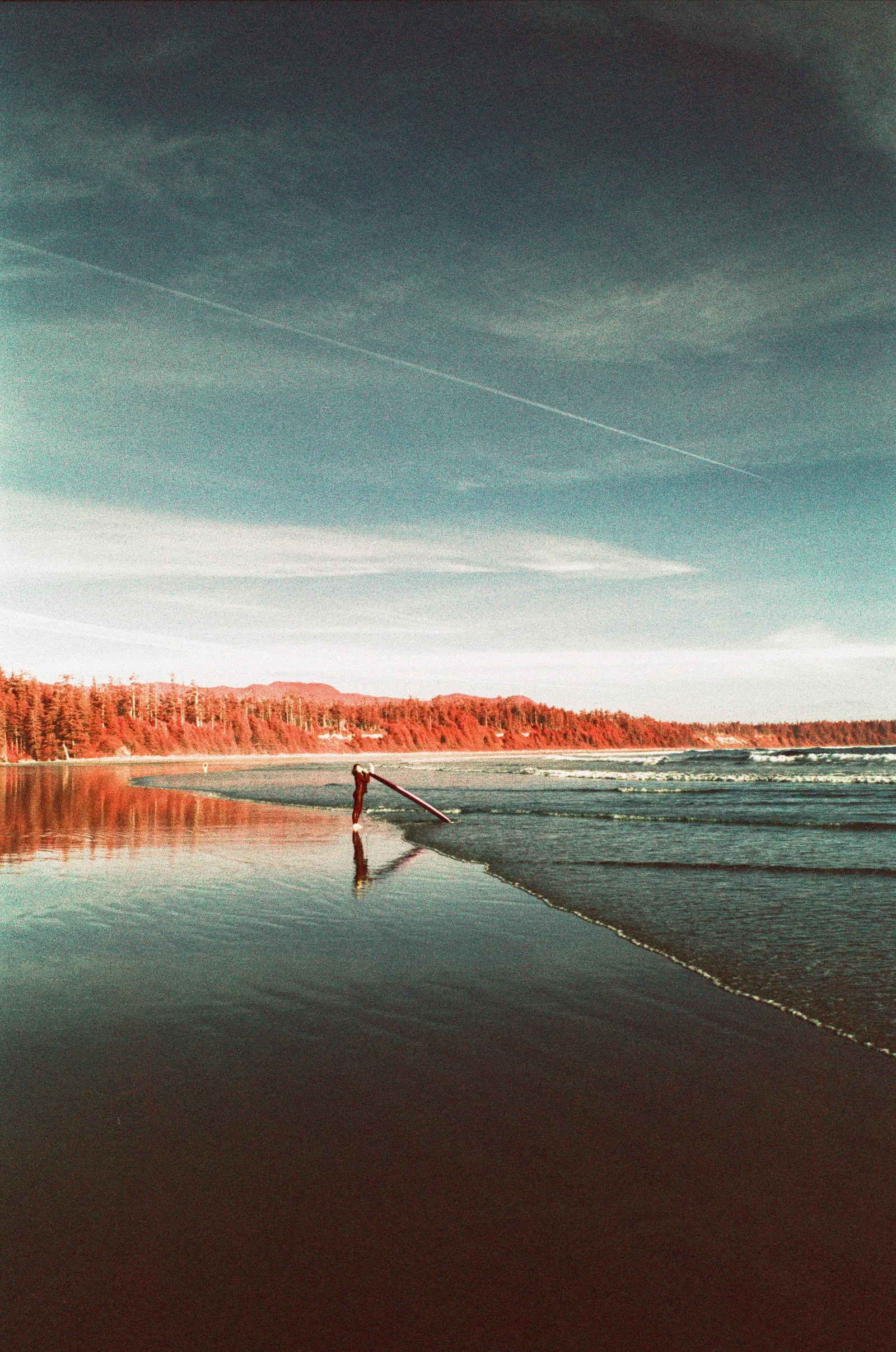 Film photograph, Tofino, BC