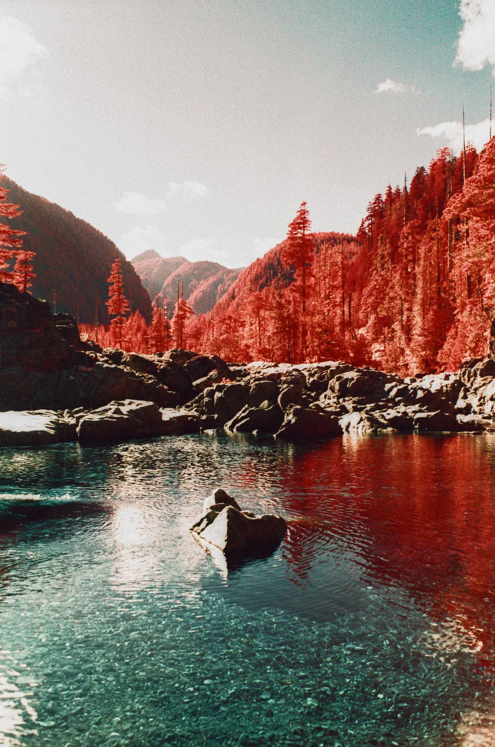 Film photograph, Tofino, BC