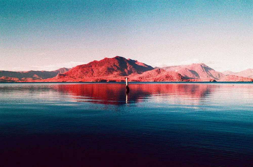 Film photograph, Tofino, BC