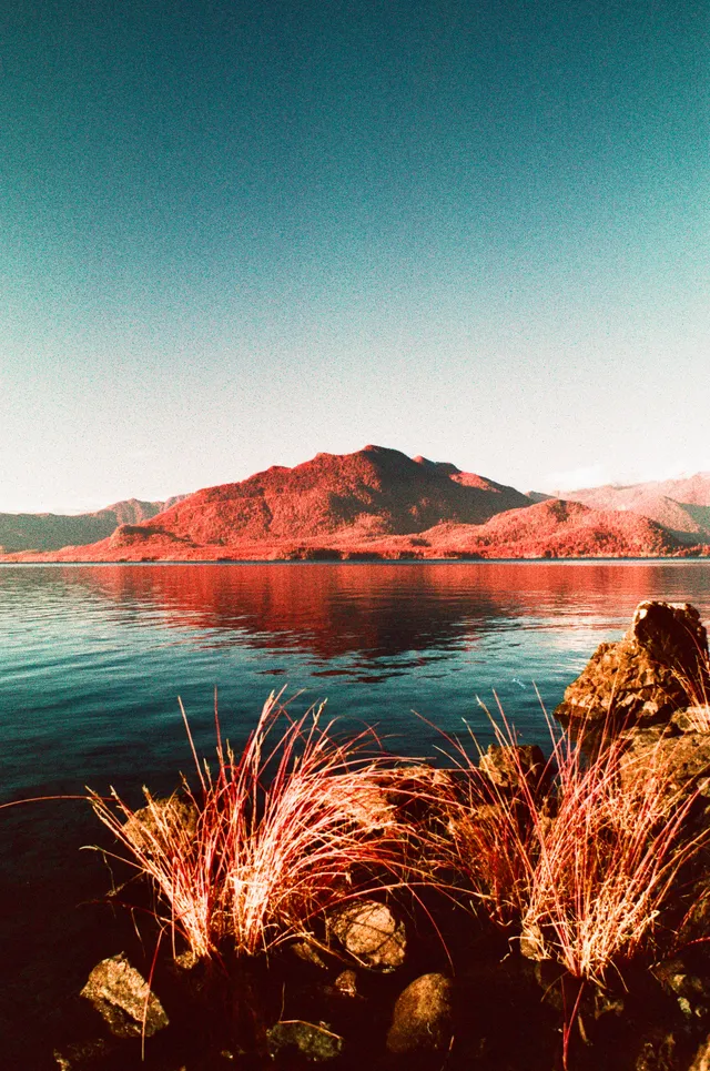 Film photograph, Tofino, BC