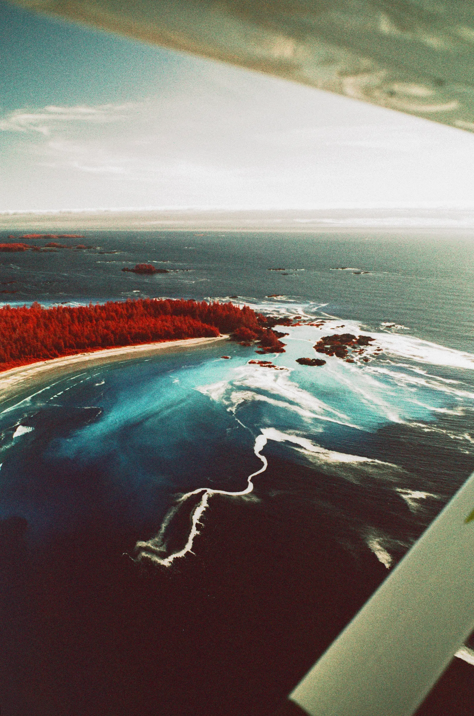 Film photograph, Tofino, BC