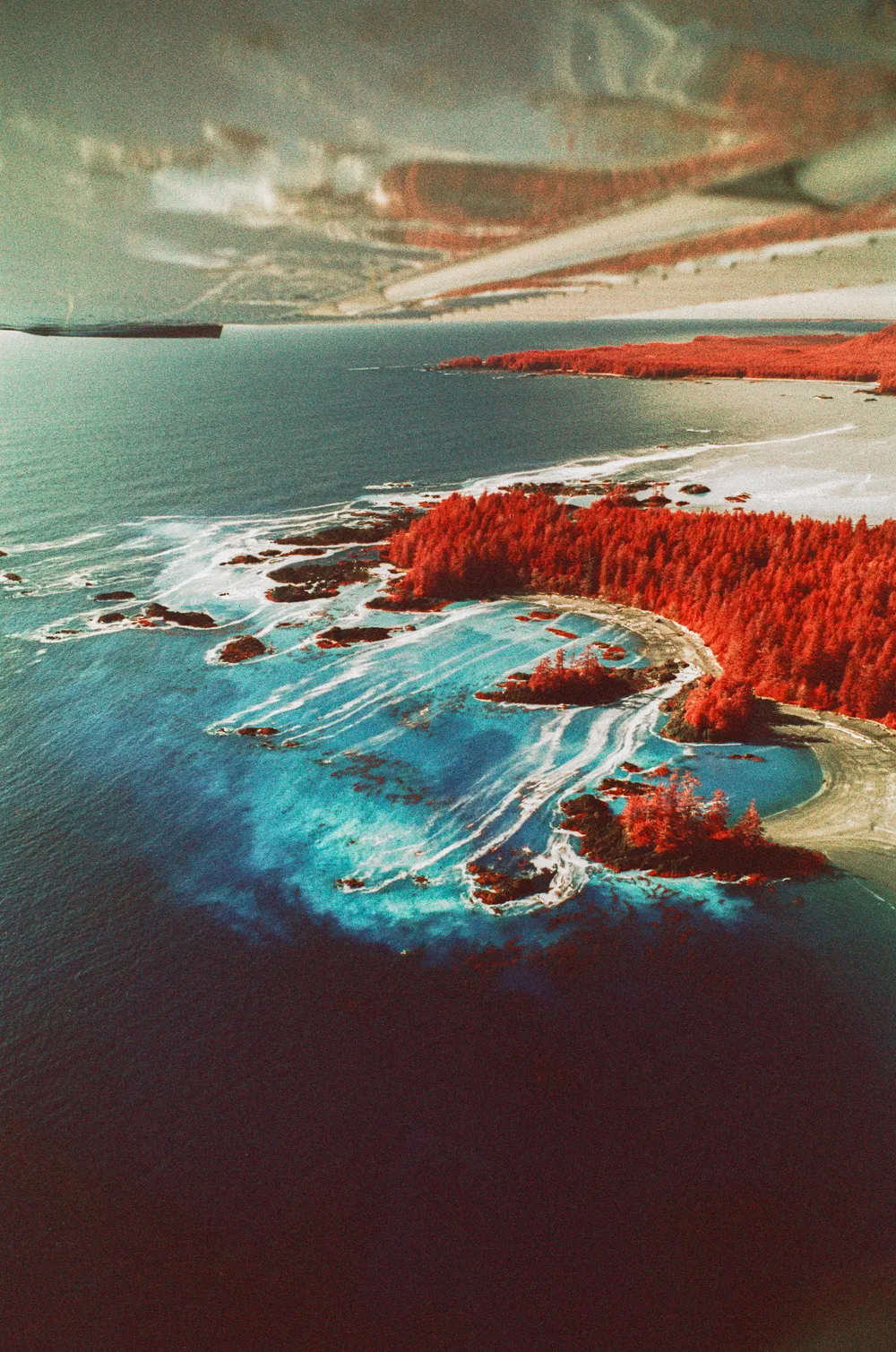Film photograph, Tofino, BC