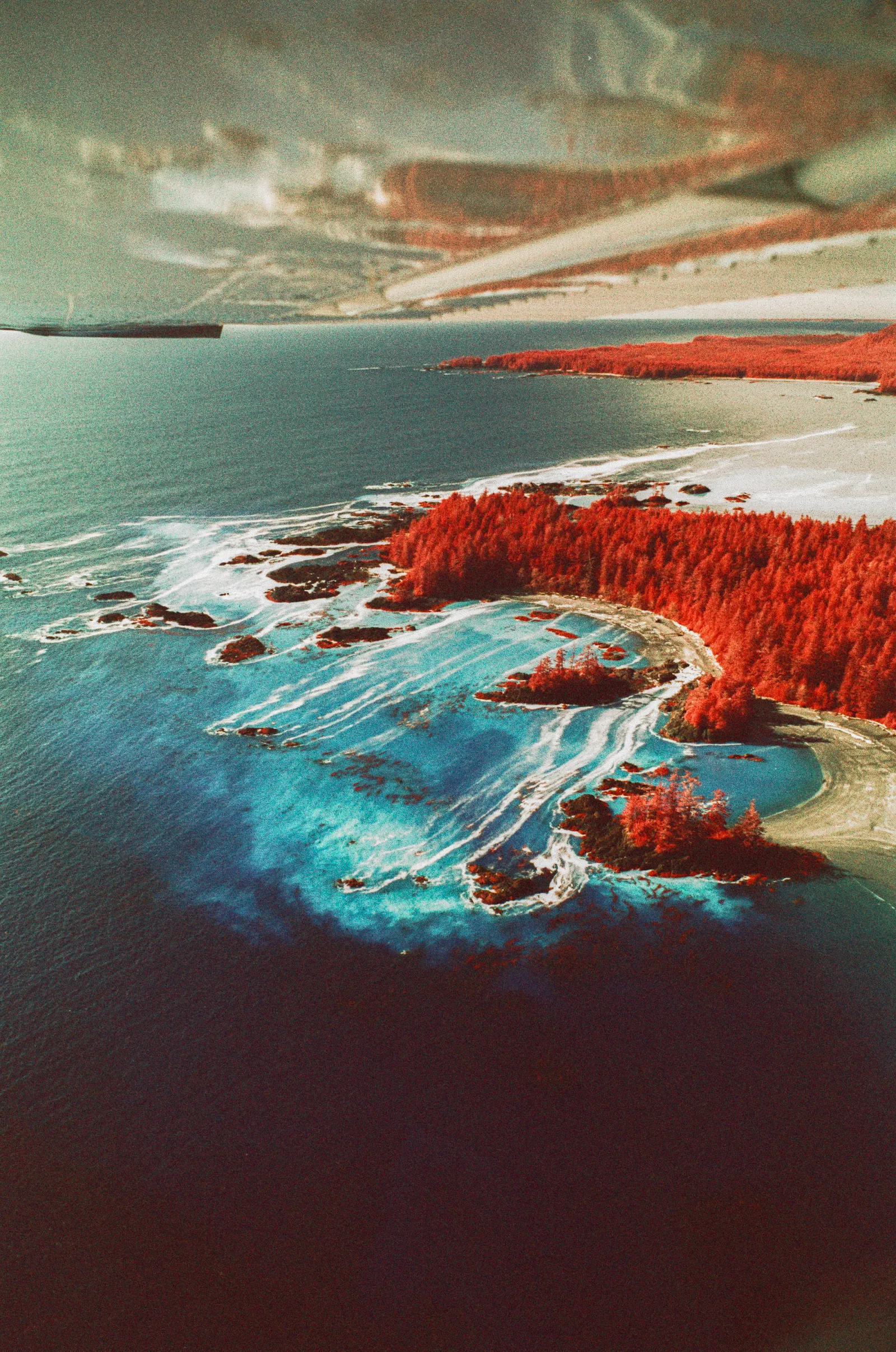 Film photograph, Tofino, BC