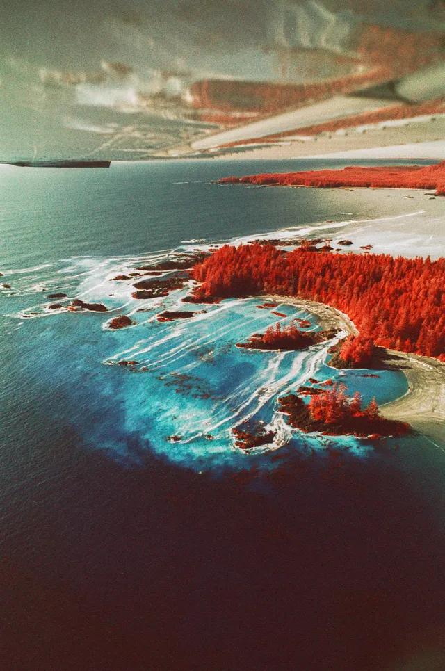 Film photograph, Tofino, BC