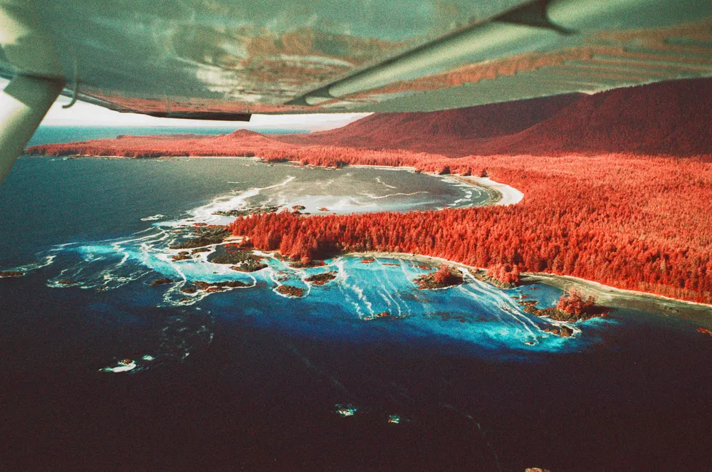 Film photograph, Tofino, BC