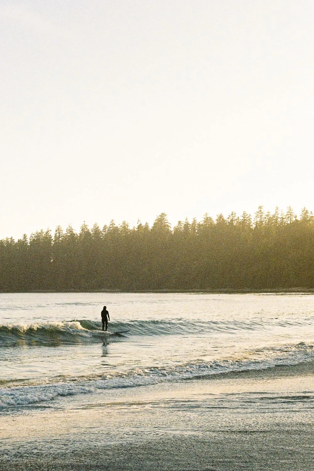 Surfer standing in the shallows below a forested headland