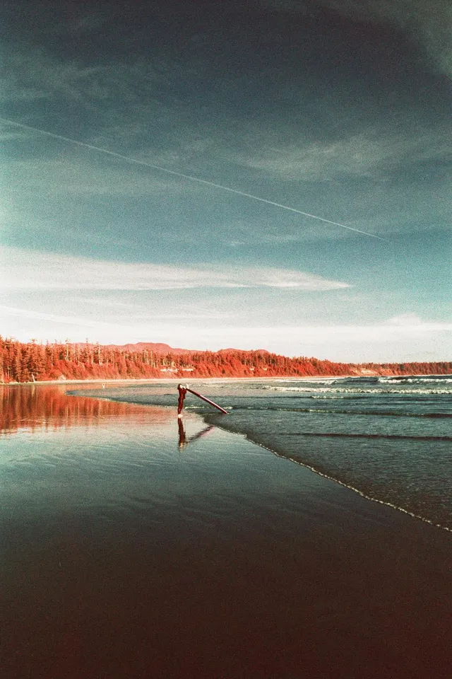 Person walking a surfboard along a beach below a red treeline and streaky sky
