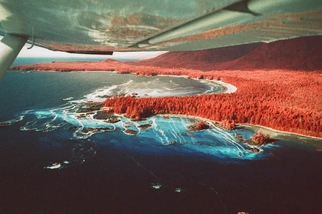 Aerial view from under a plane wing over a red-forested coastline and blue surf