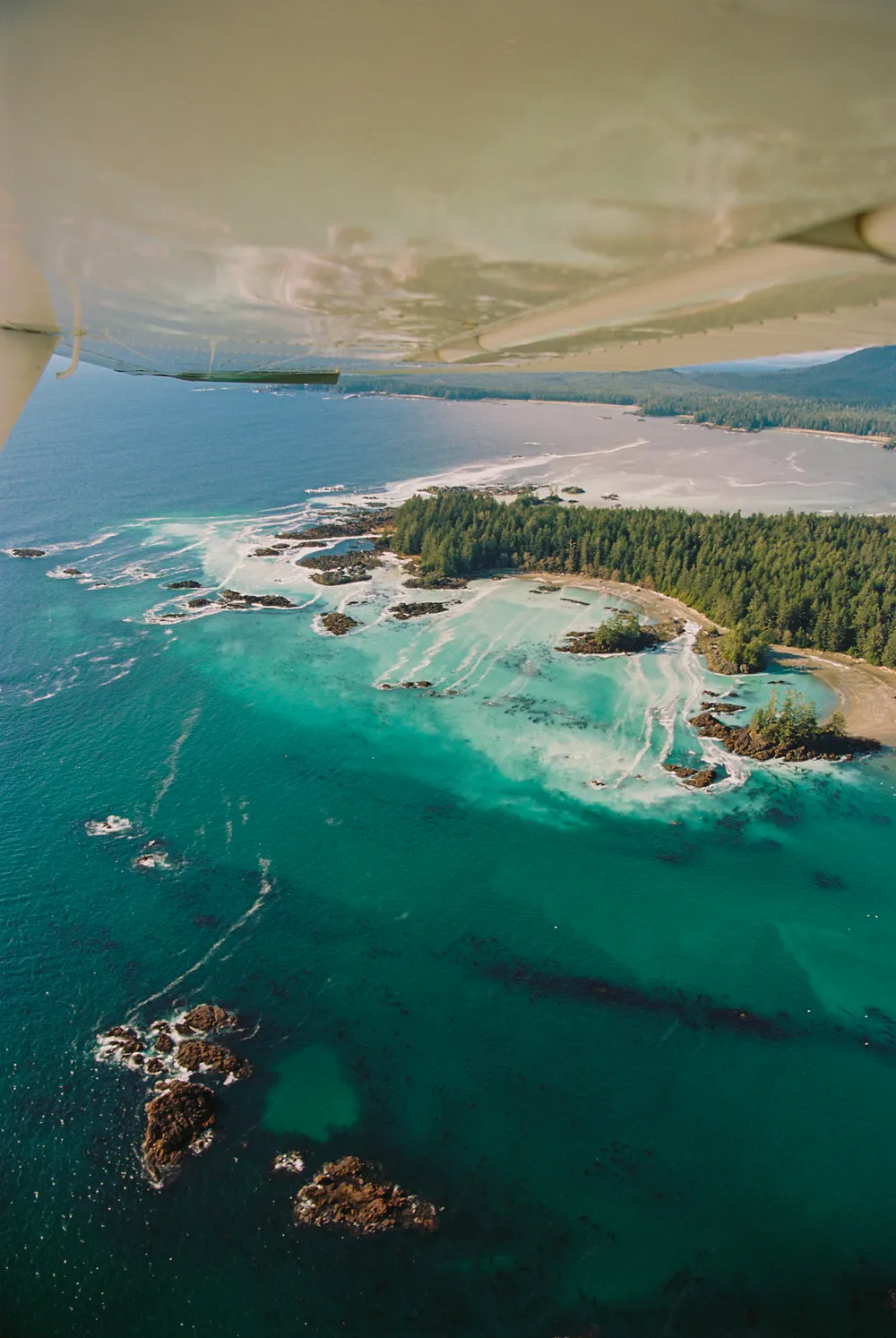 Film photograph, Tofino, BC