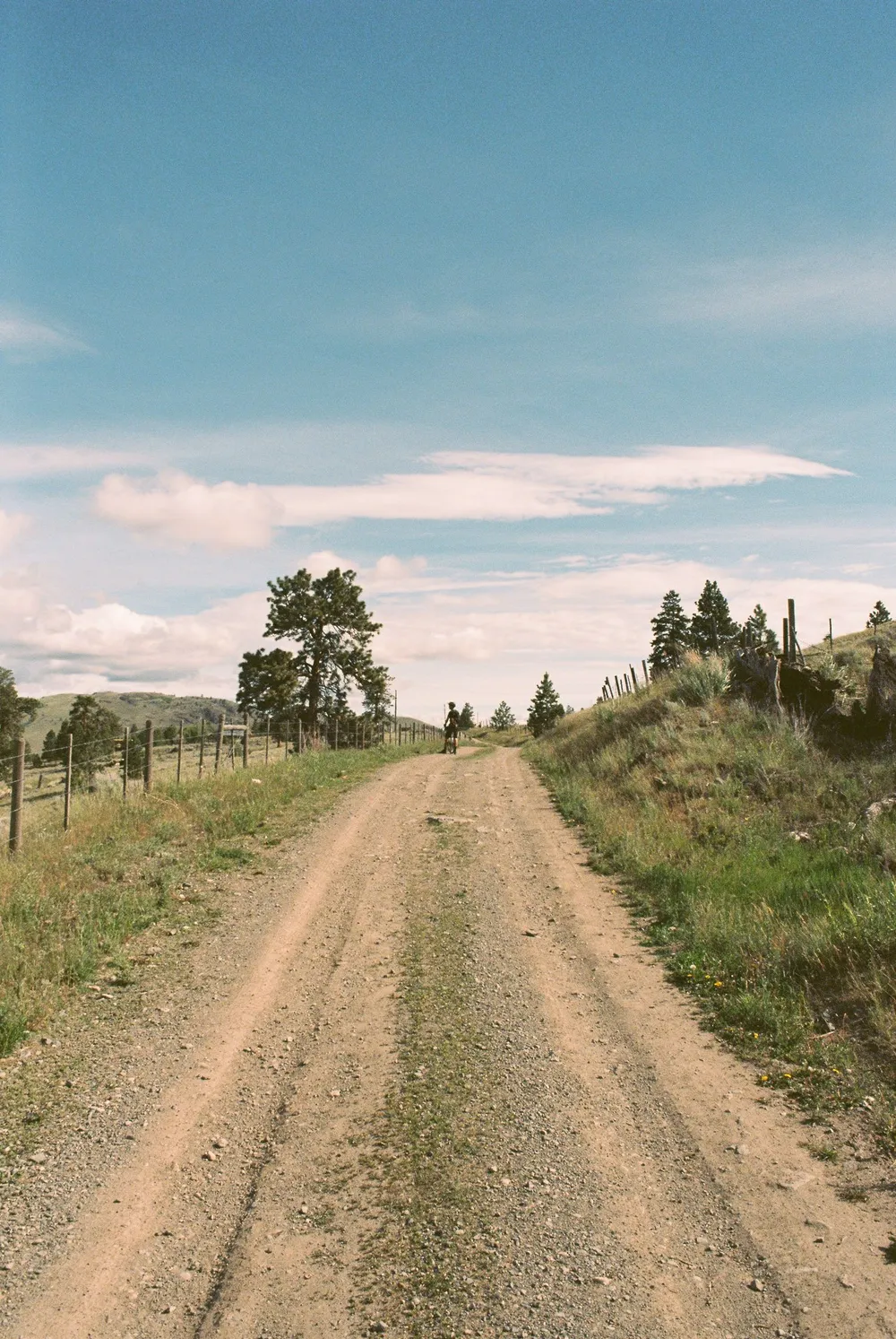 BC Grasslands: frame 17