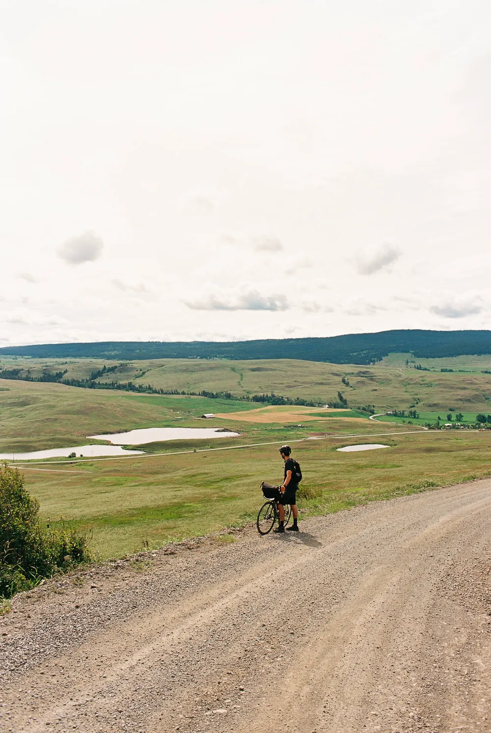 BC Grasslands: frame 23