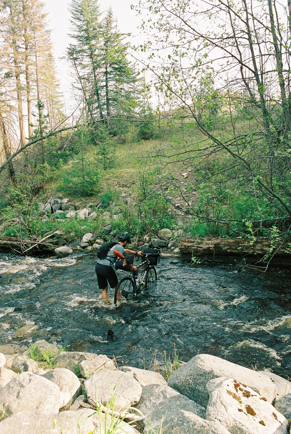 BC Grasslands: frame 6