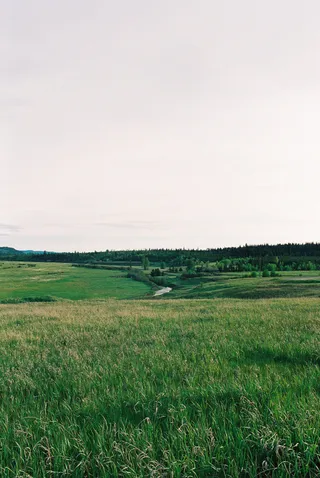 BC Grasslands: frame 10