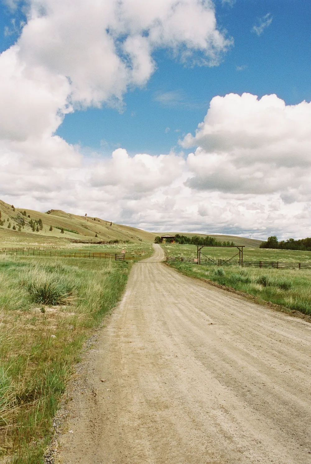 BC Grasslands: frame 12