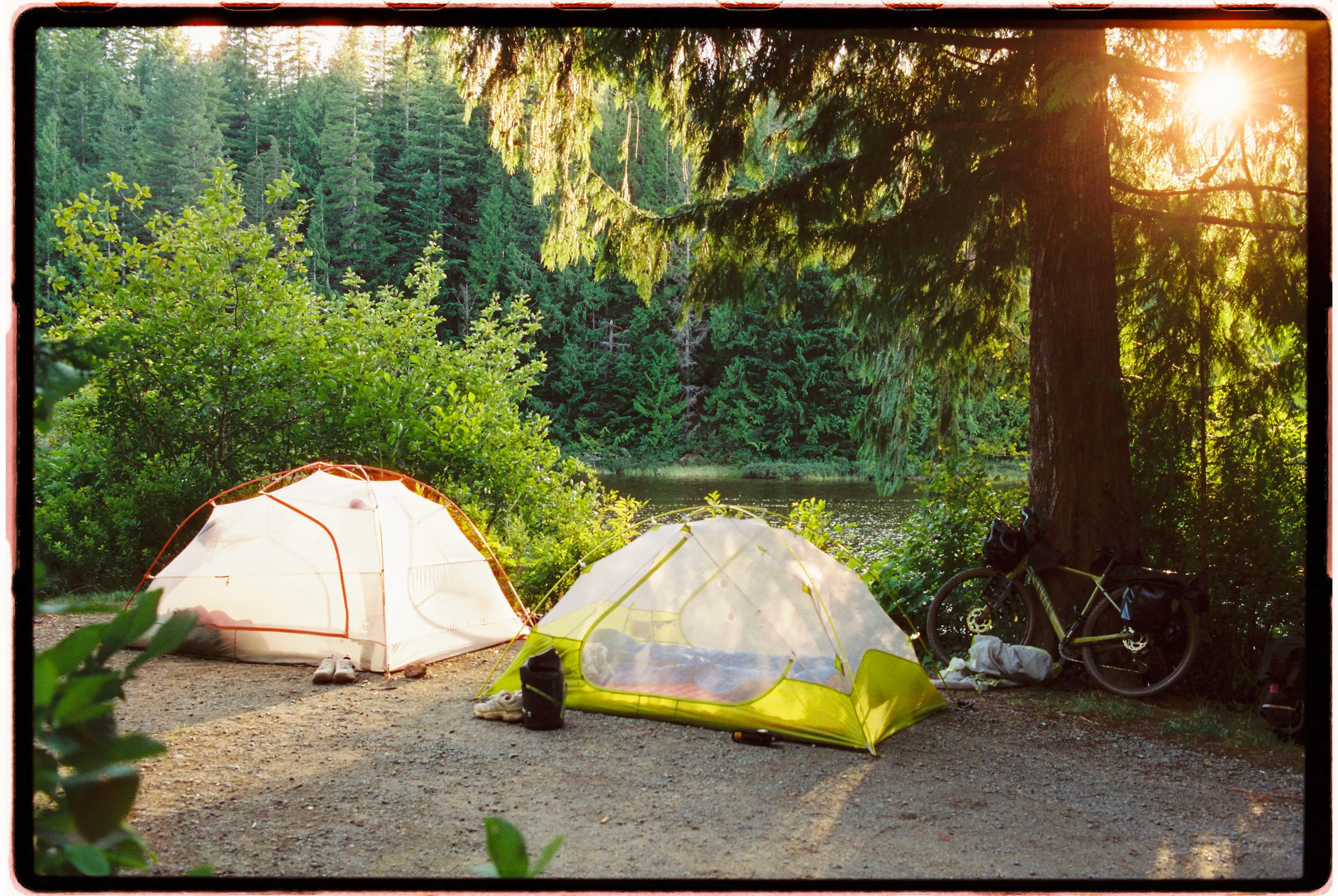 Film photograph, Campbell River, BC