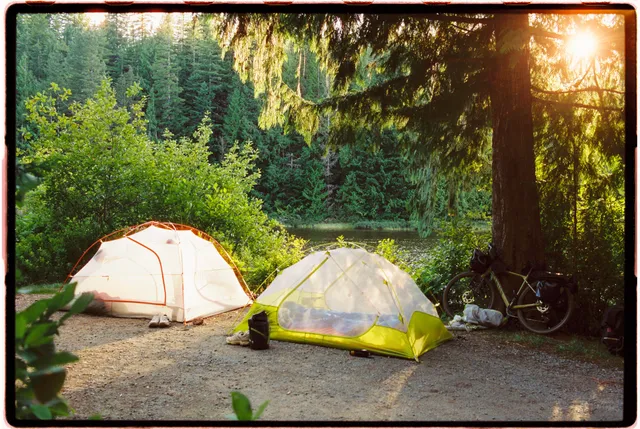 Film photograph, Campbell River, BC