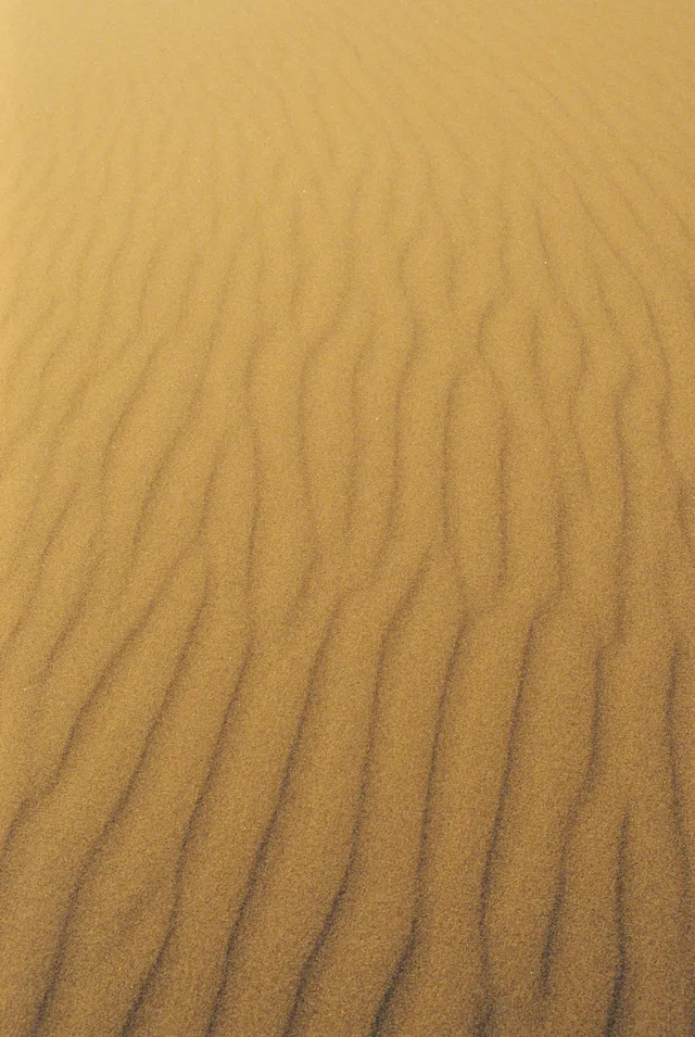 Film photograph, Sahara, Morocco