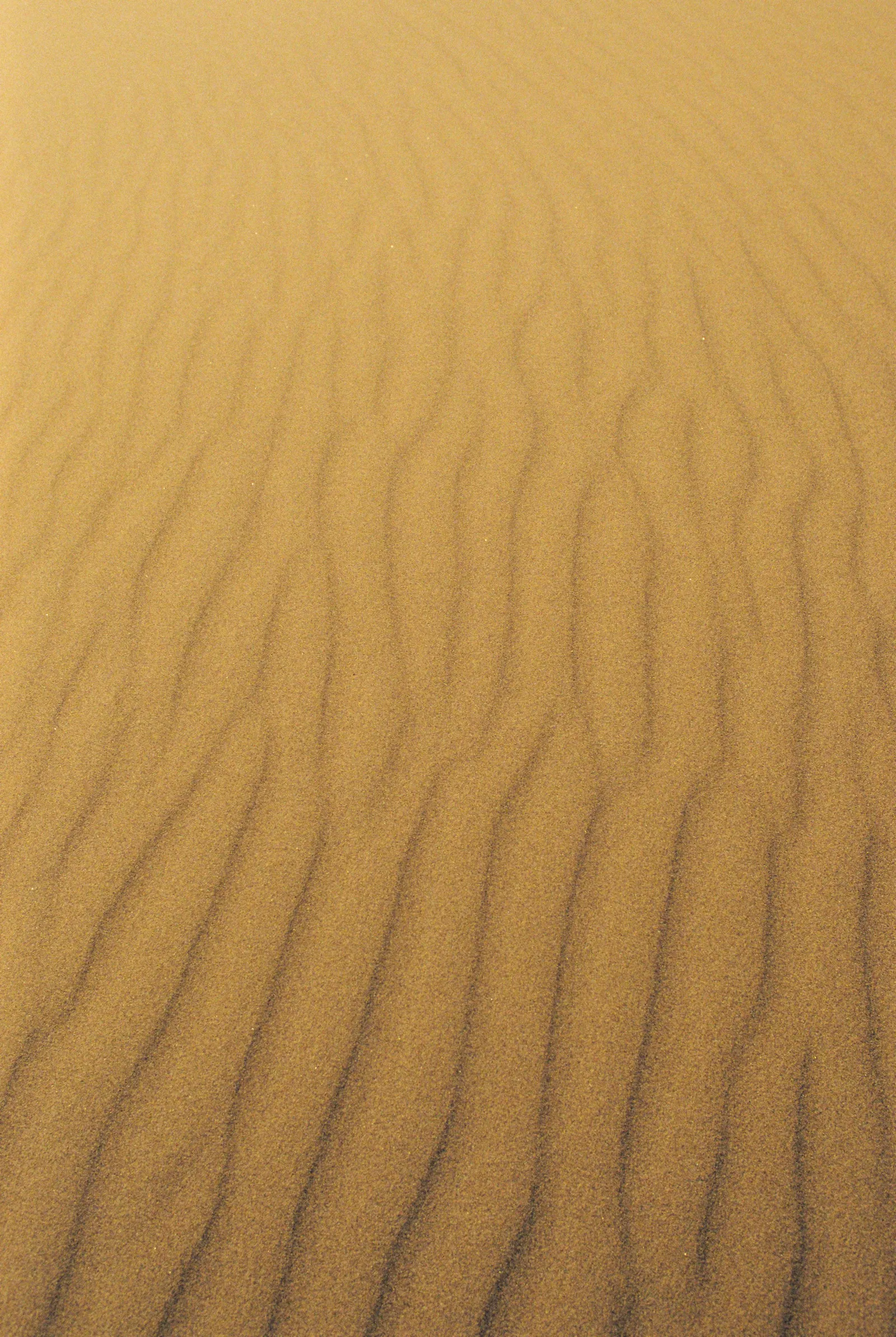 Film photograph, Sahara, Morocco