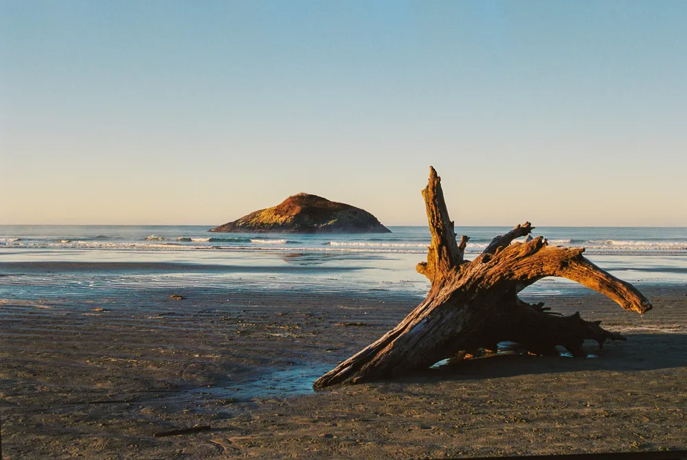 Film photograph, Long Beach, Tofino, BC