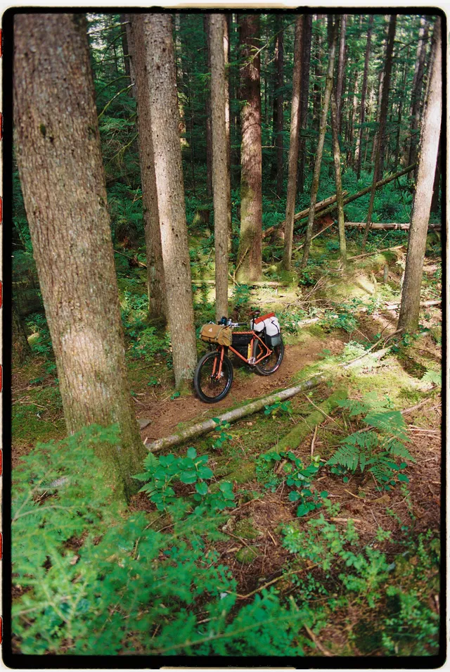 Film photograph, Campbell River, BC