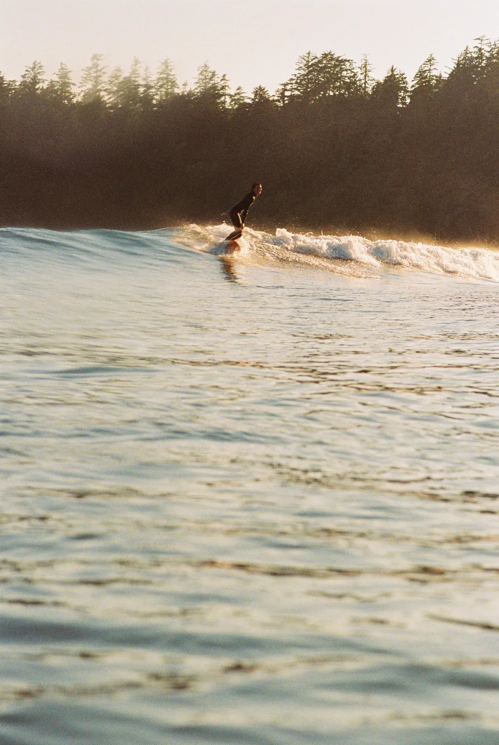 Film photograph, Tofino, BC