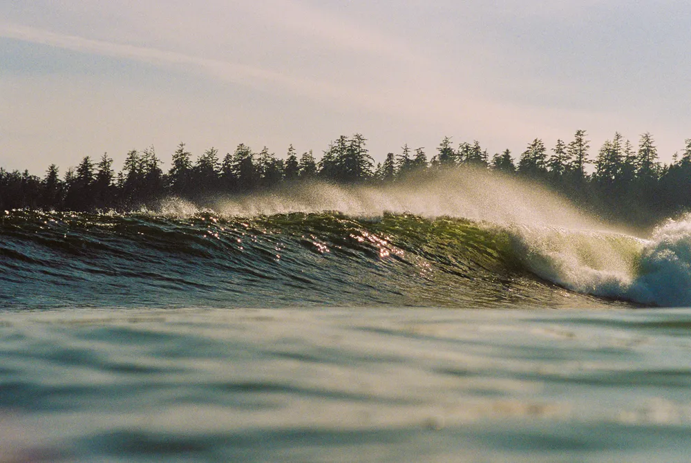 Film photograph, Tofino, BC