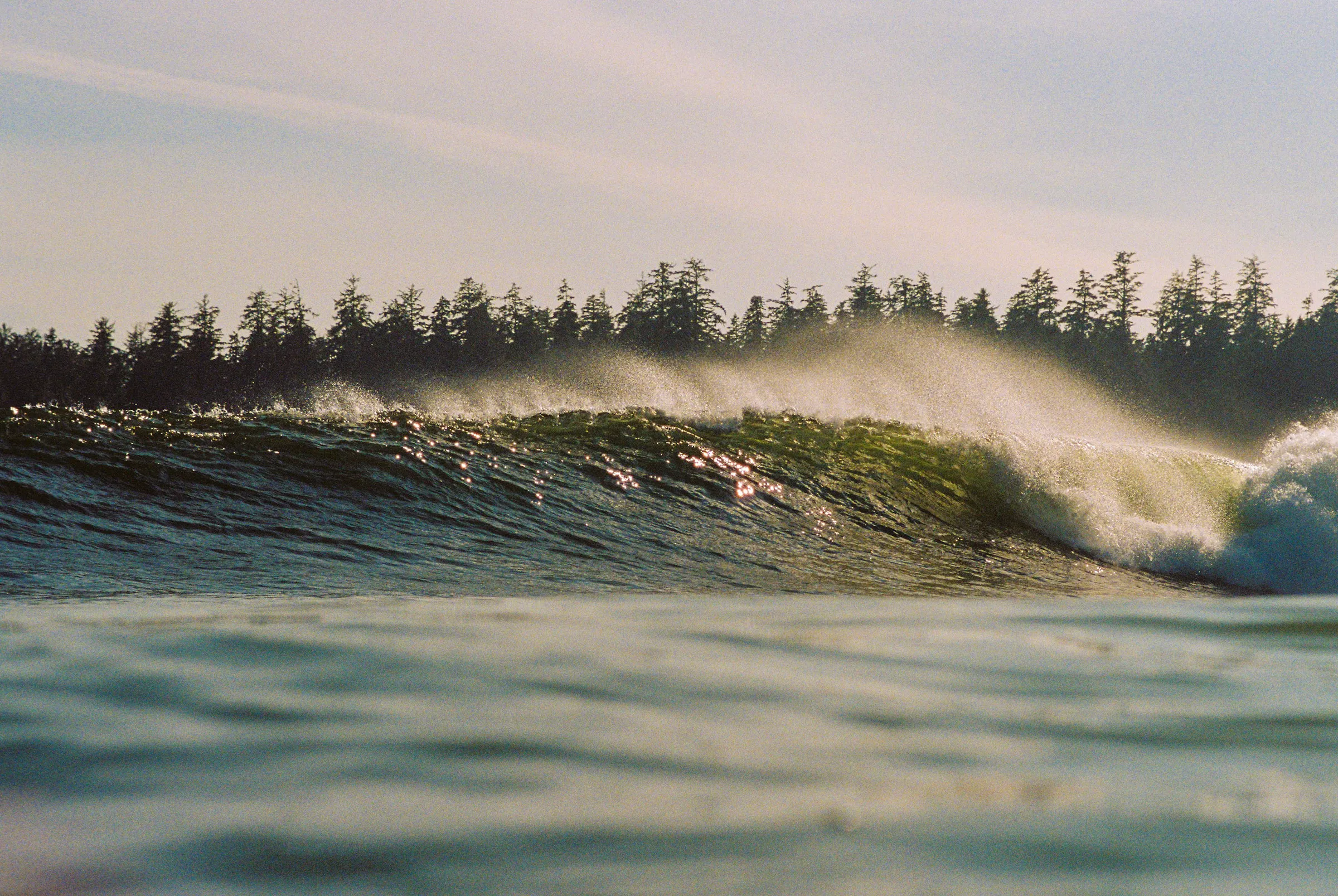 Film photograph, Tofino, BC