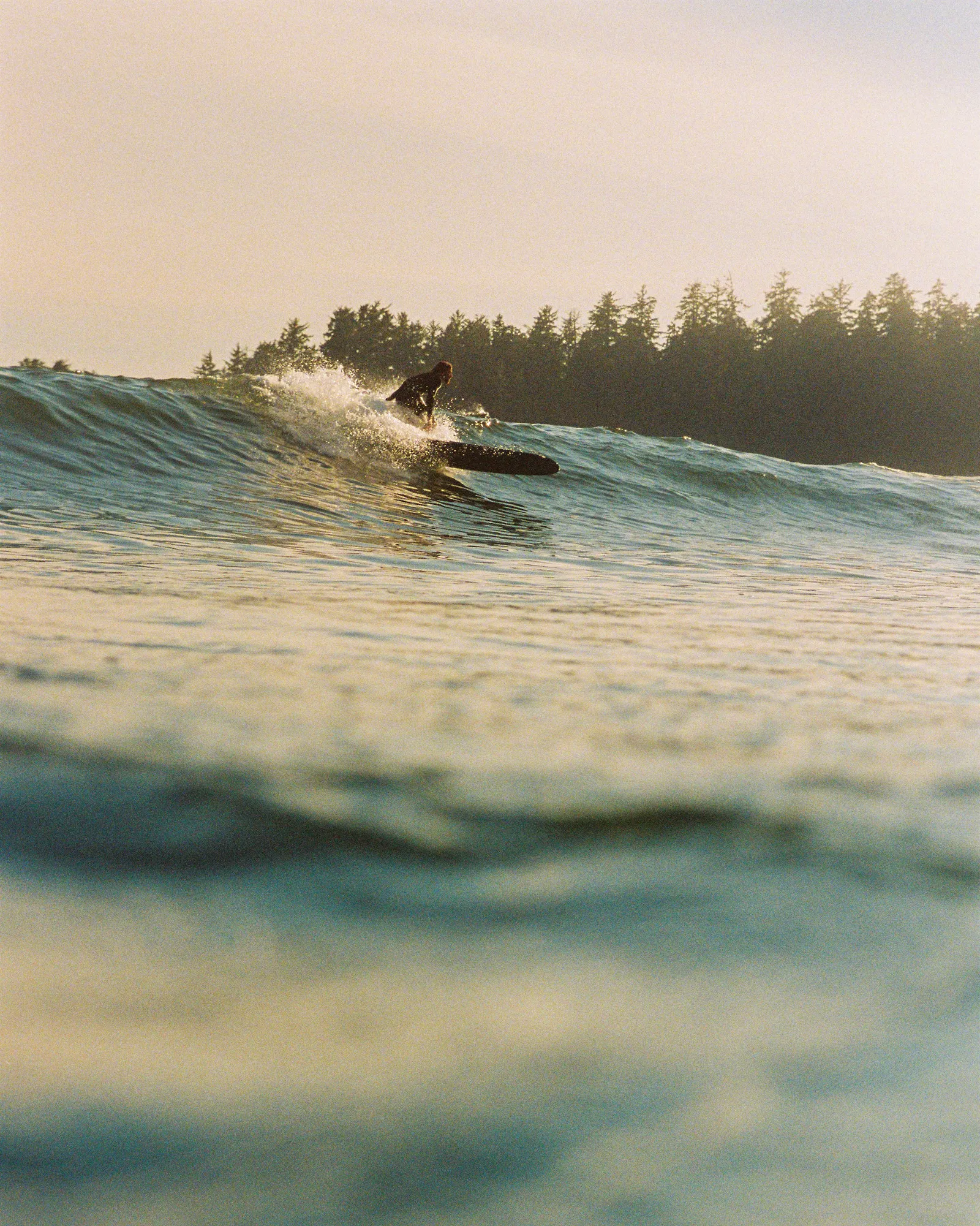 Film photograph, Tofino, BC
