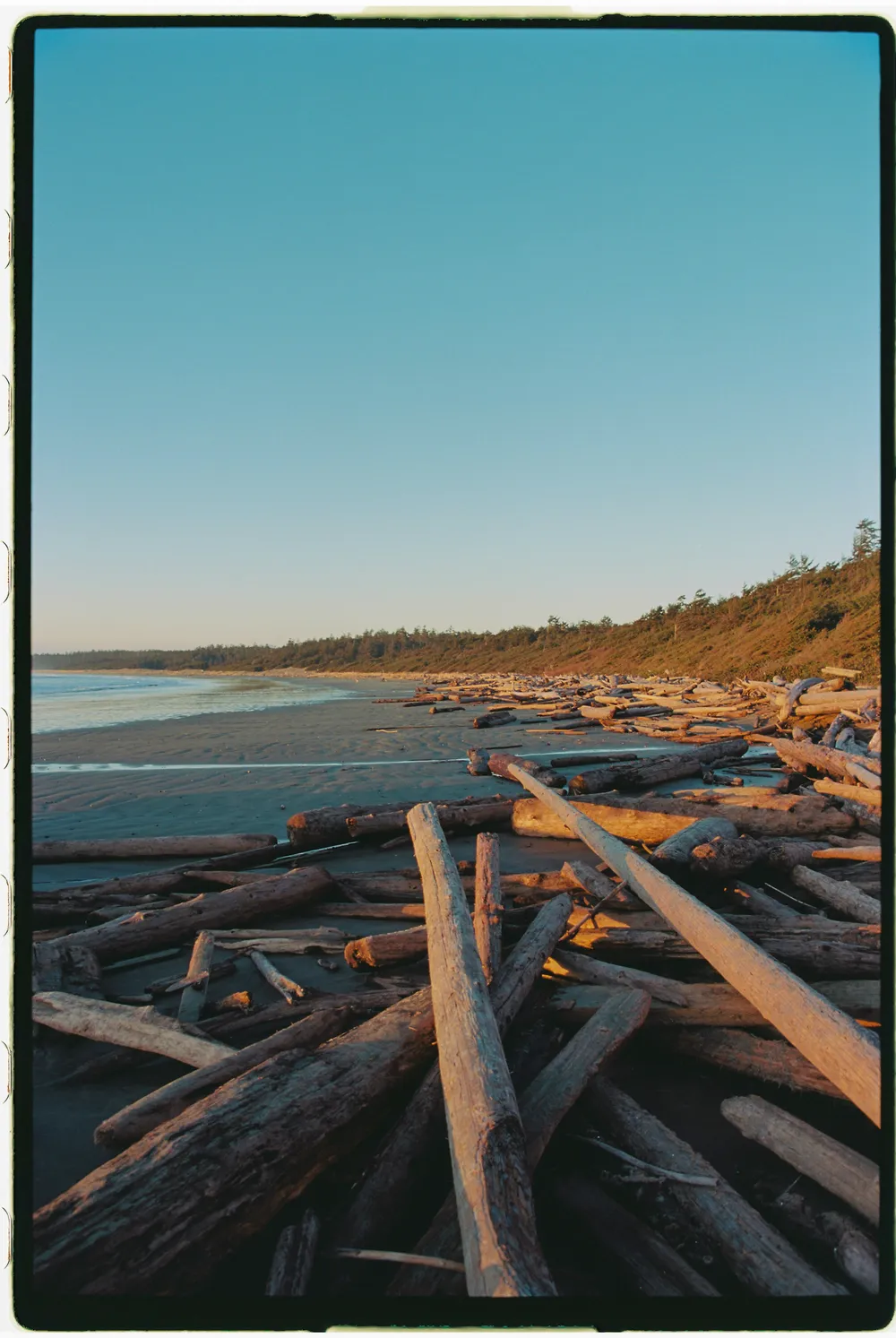 Film photograph, Wickaninnish Beach, BC