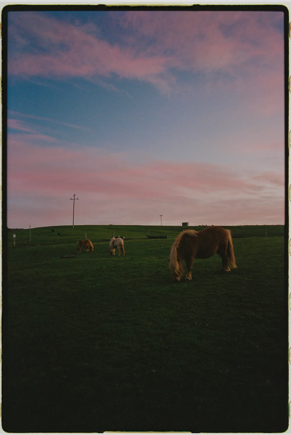 Film photograph, Australia