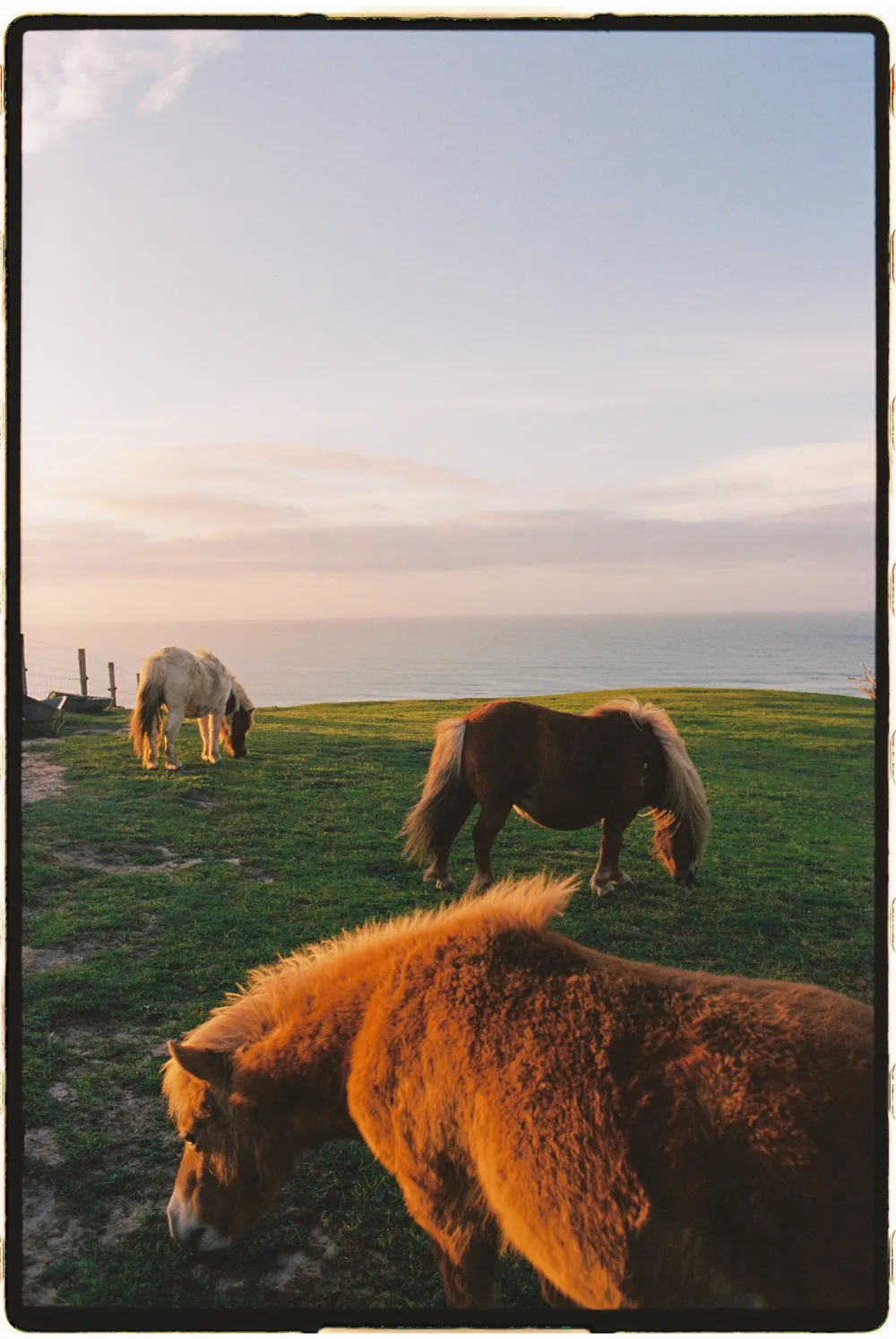Film photograph, Australia