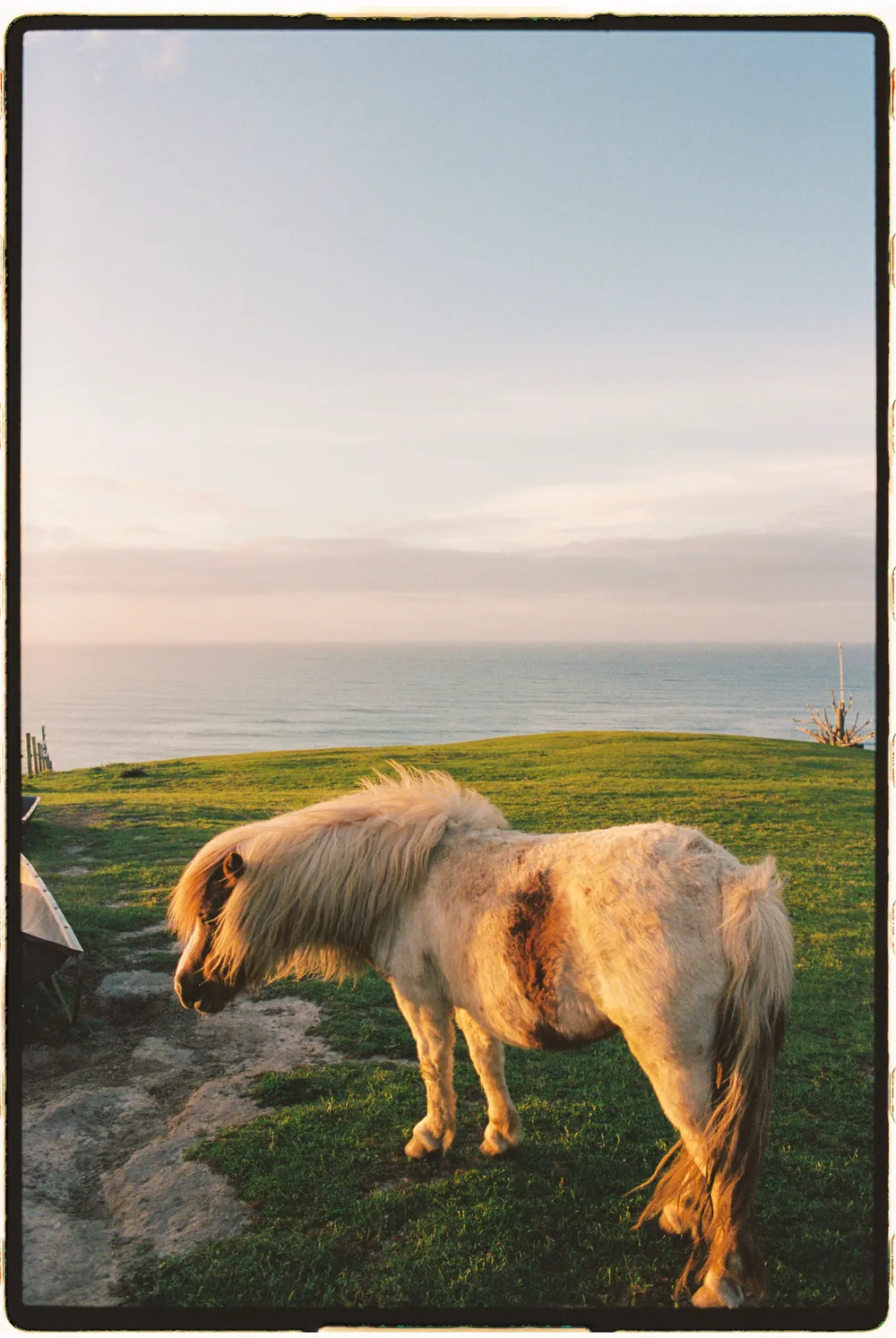 Film photograph, Australia