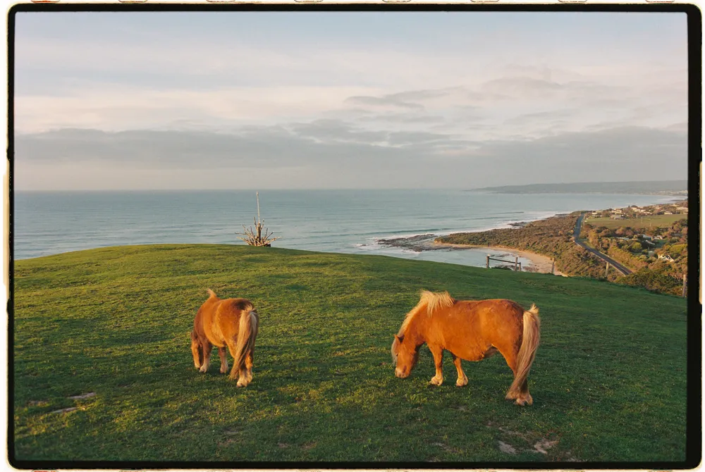 Film photograph, Australia
