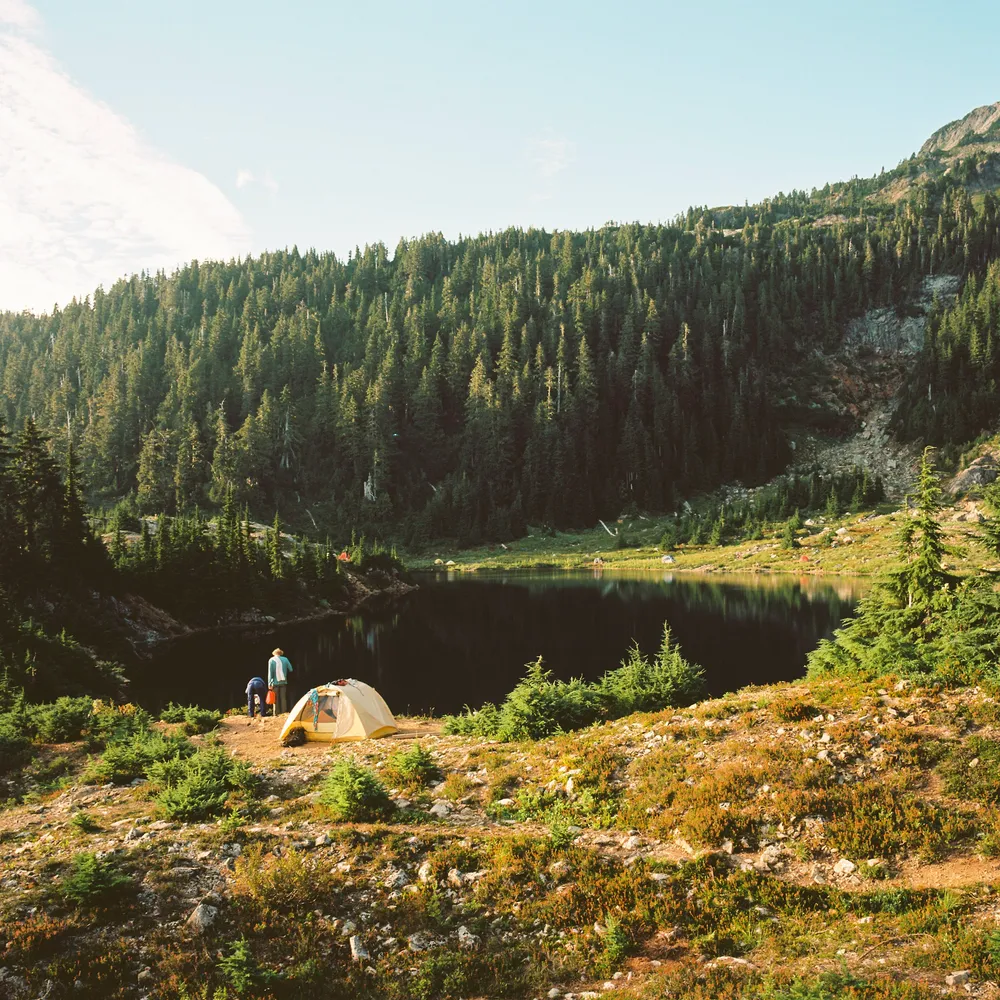 Film photograph, Vancouver Island, BC