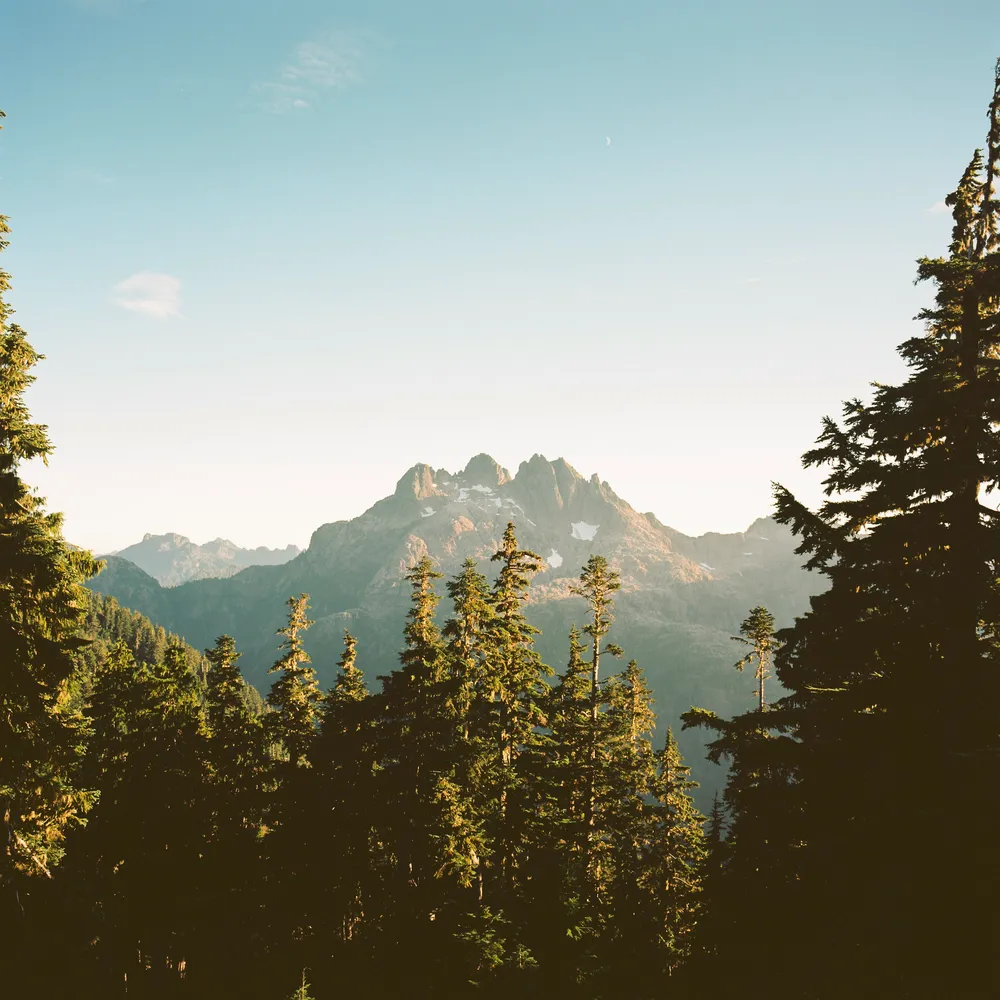 Film photograph, Vancouver Island, BC