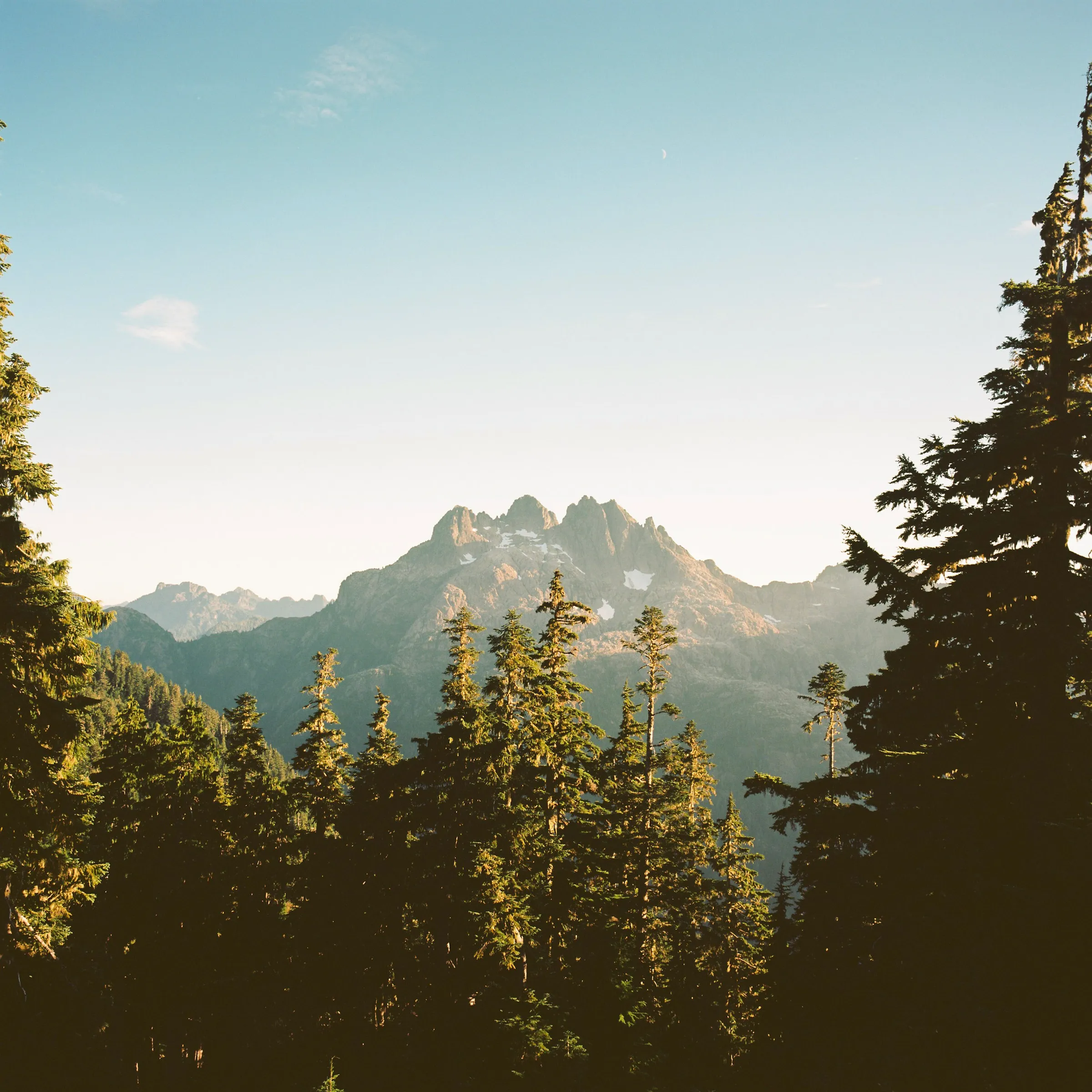 Film photograph, Vancouver Island, BC