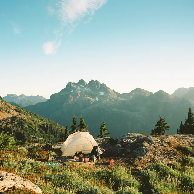 Film photograph, Vancouver Island, BC