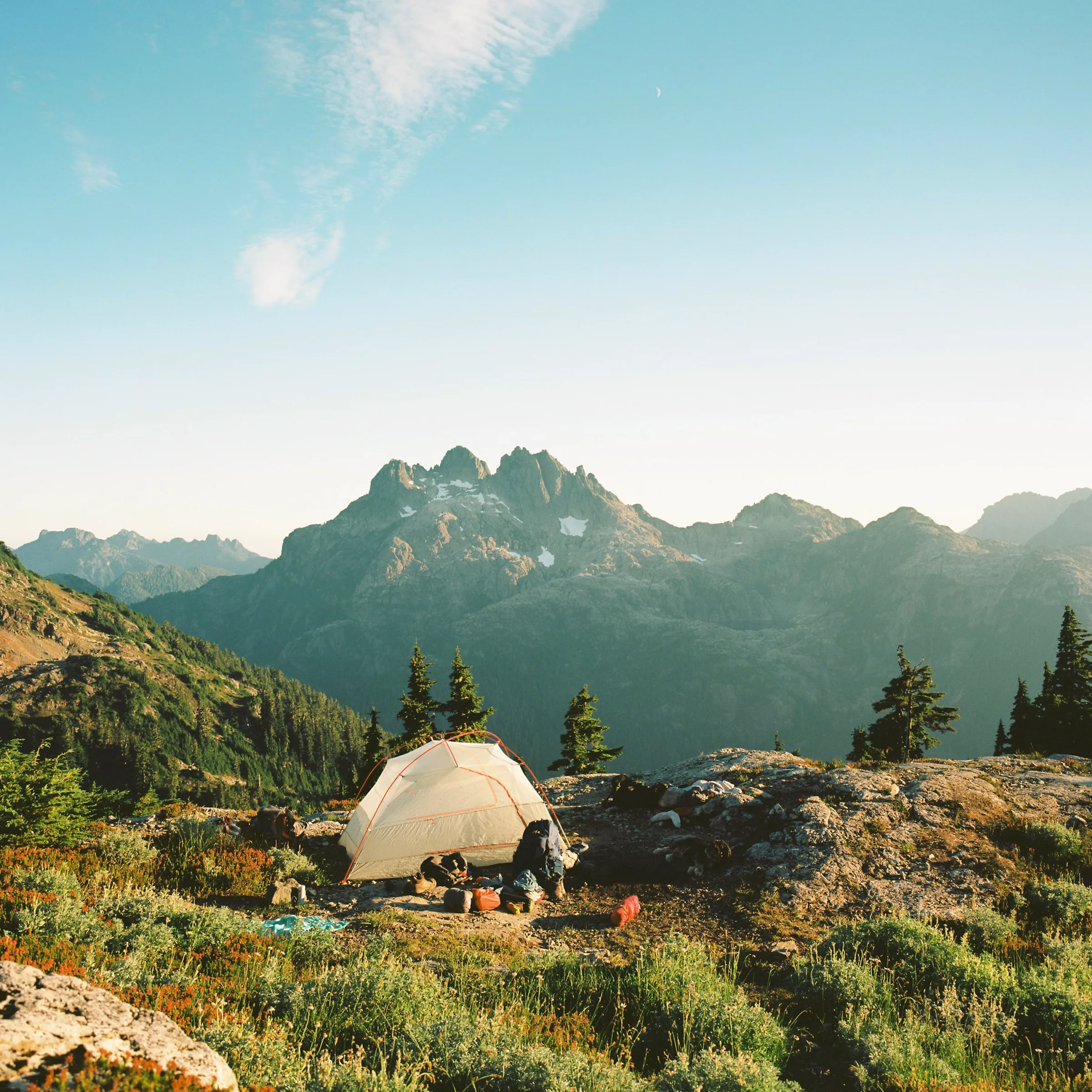 Film photograph, Vancouver Island, BC