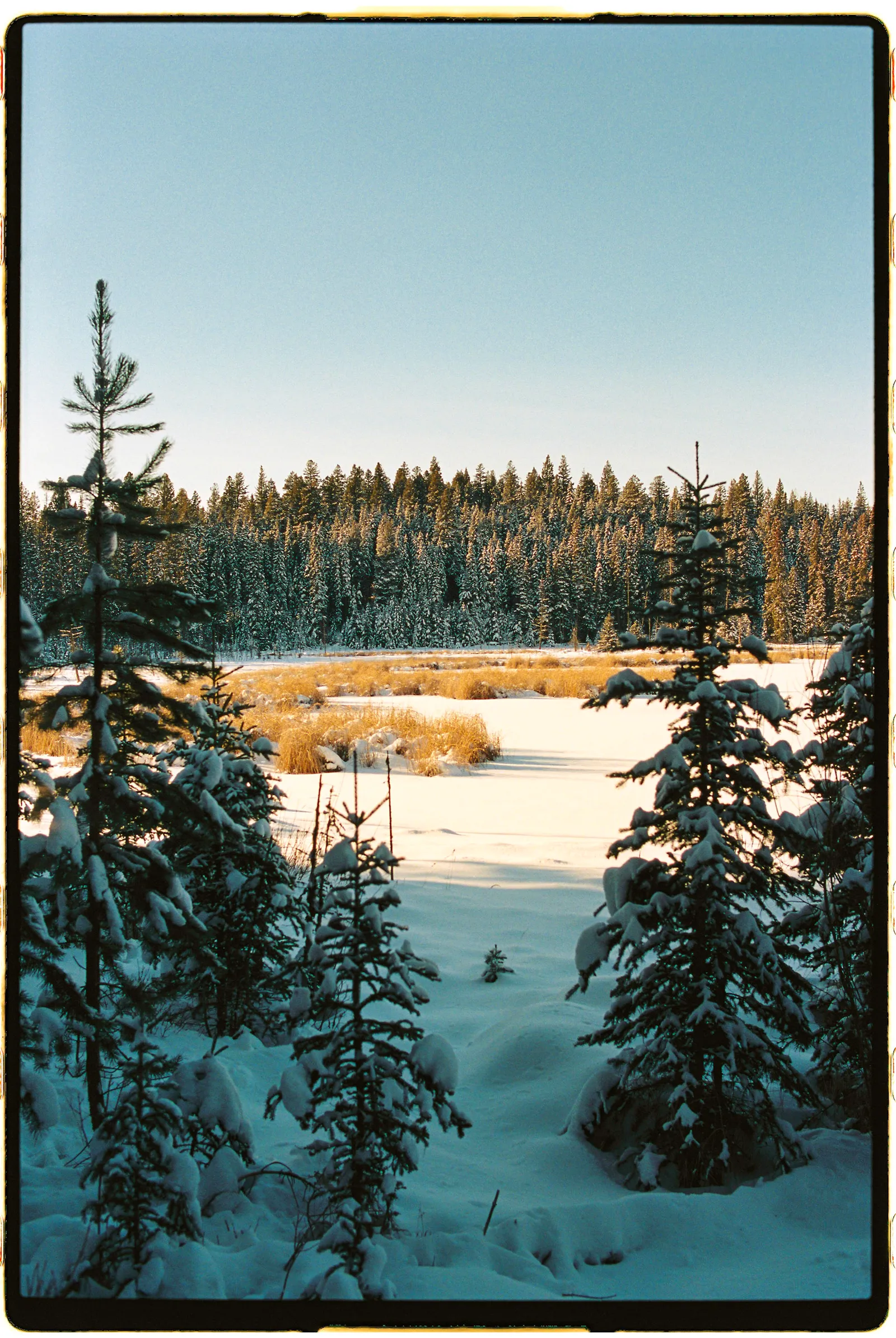 Film photograph, Kamloops, BC