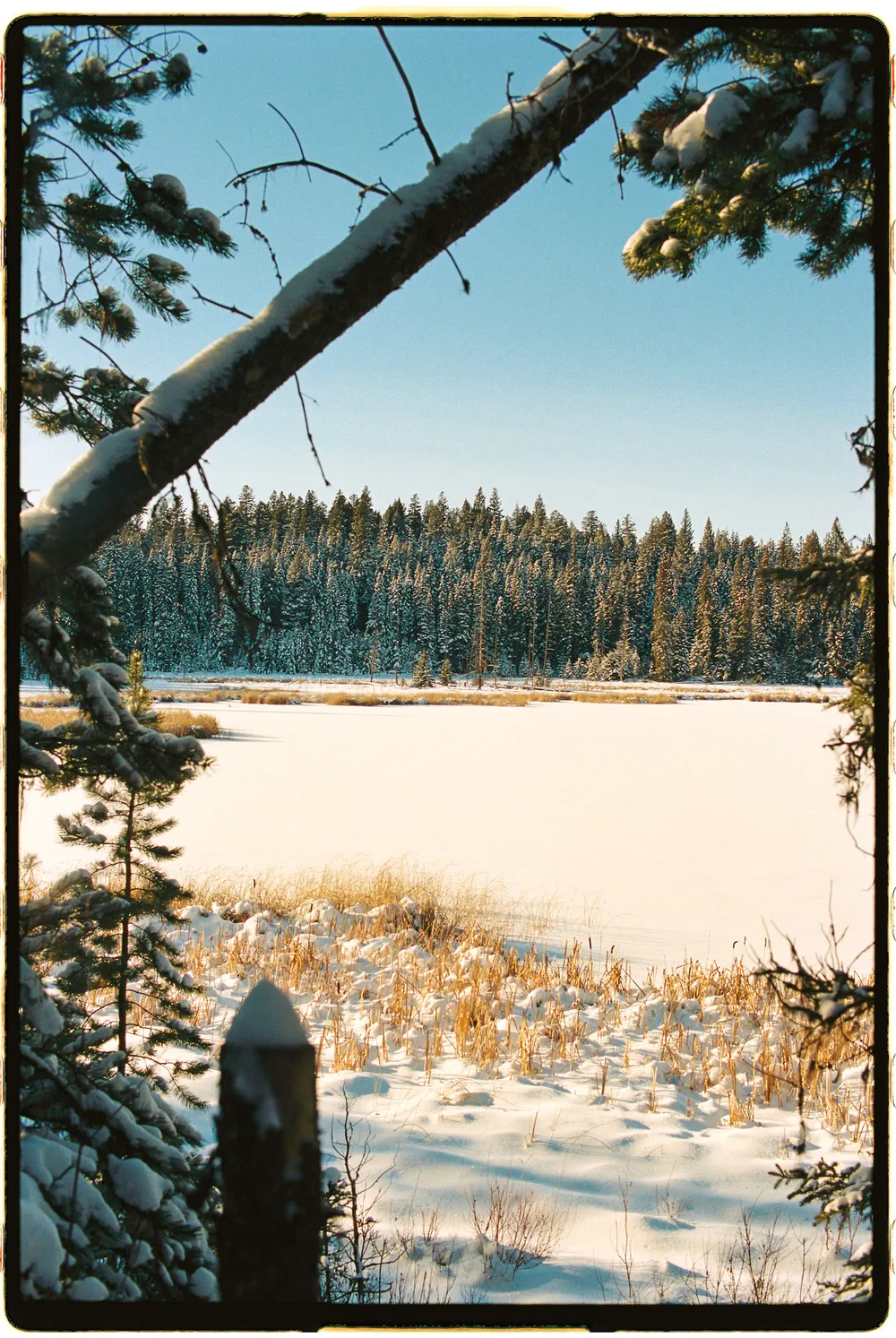 Film photograph, Kamloops, BC