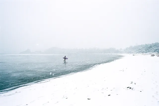 Film photograph, Tofino, BC