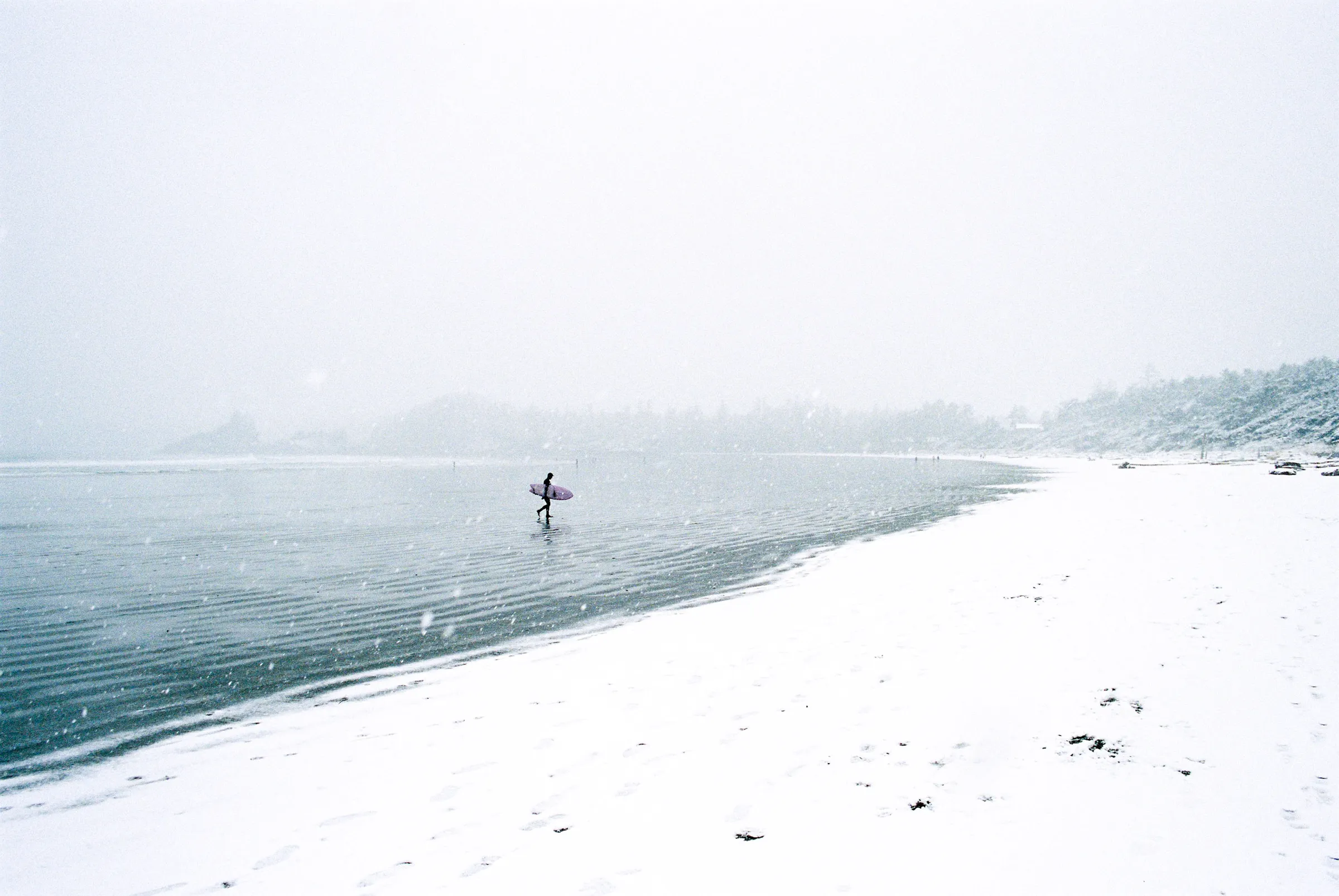 Film photograph, Tofino, BC