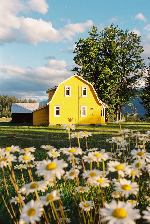 Film photograph, Revelstoke, BC