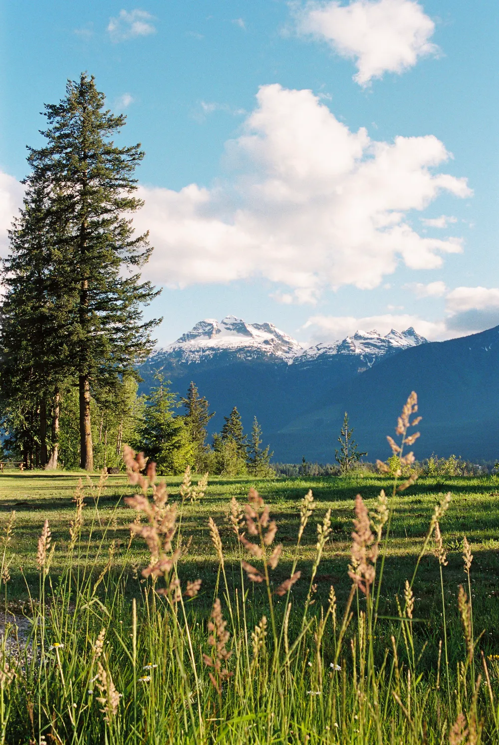 Film photograph, Revelstoke, BC