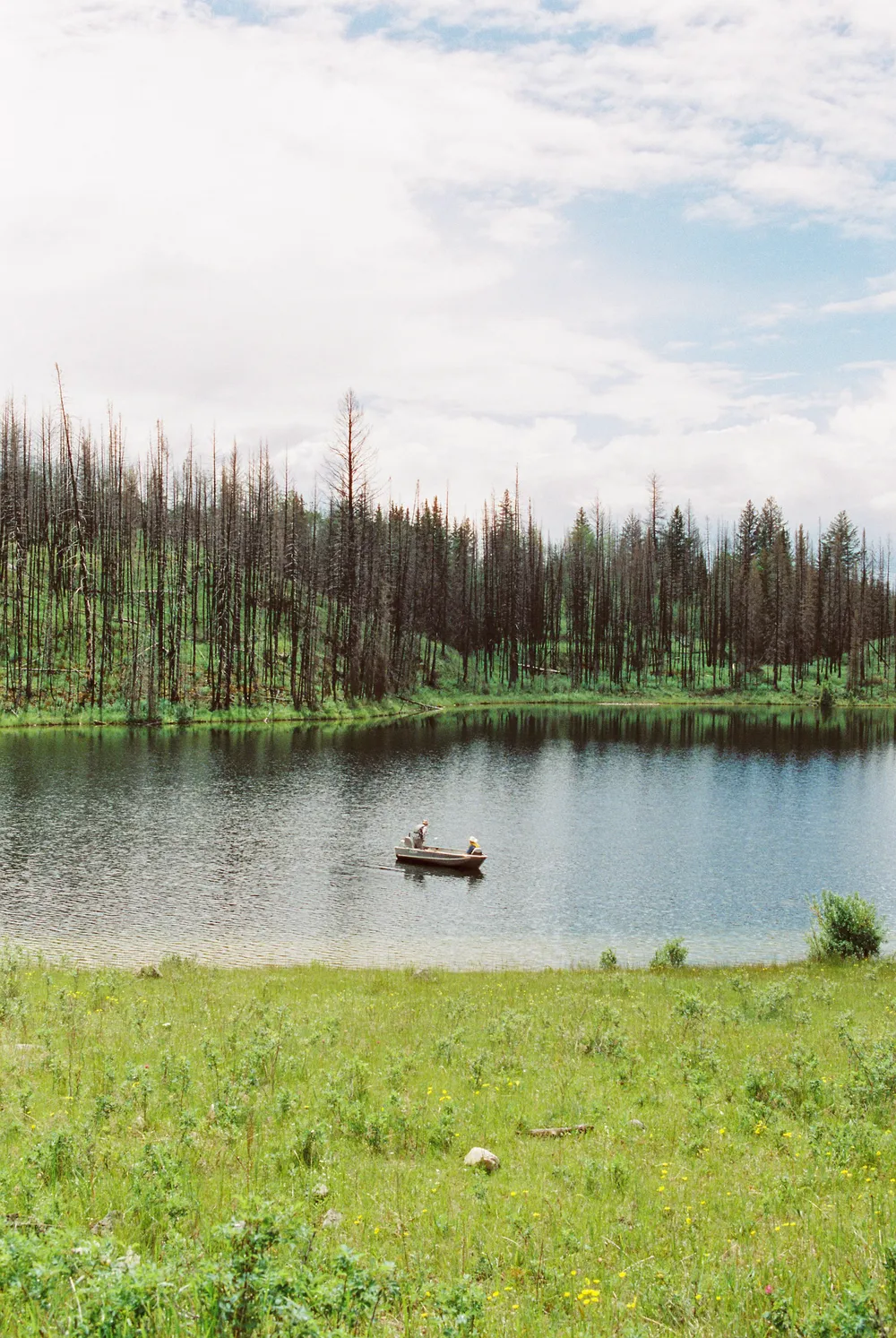 Film photograph, Lac du Bois Grasslands, Kamloops, BC